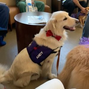 Meet your Posher, Deborah